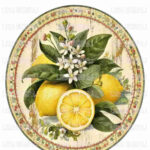ÜTÜ İLE RUB ON TRANSFER KAĞIDI 30X30 R0131