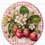 ÜTÜ İLE RUB ON TRANSFER KAĞIDI 30X30 R0142