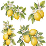 ÜTÜ İLE RUB ON TRANSFER KAĞIDI 30X30 R0062