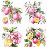 ÜTÜ İLE RUB ON TRANSFER KAĞIDI 30X30 R0082