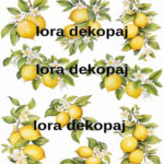 LORA DEKOPAJ SULU TRANSFER KAĞIDI S0194